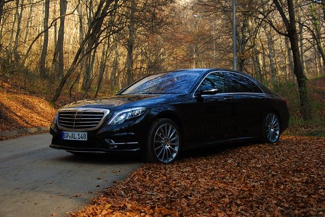 Čierne auto na lesnej ceste medzi napadaným lístím zo stromov.jpg